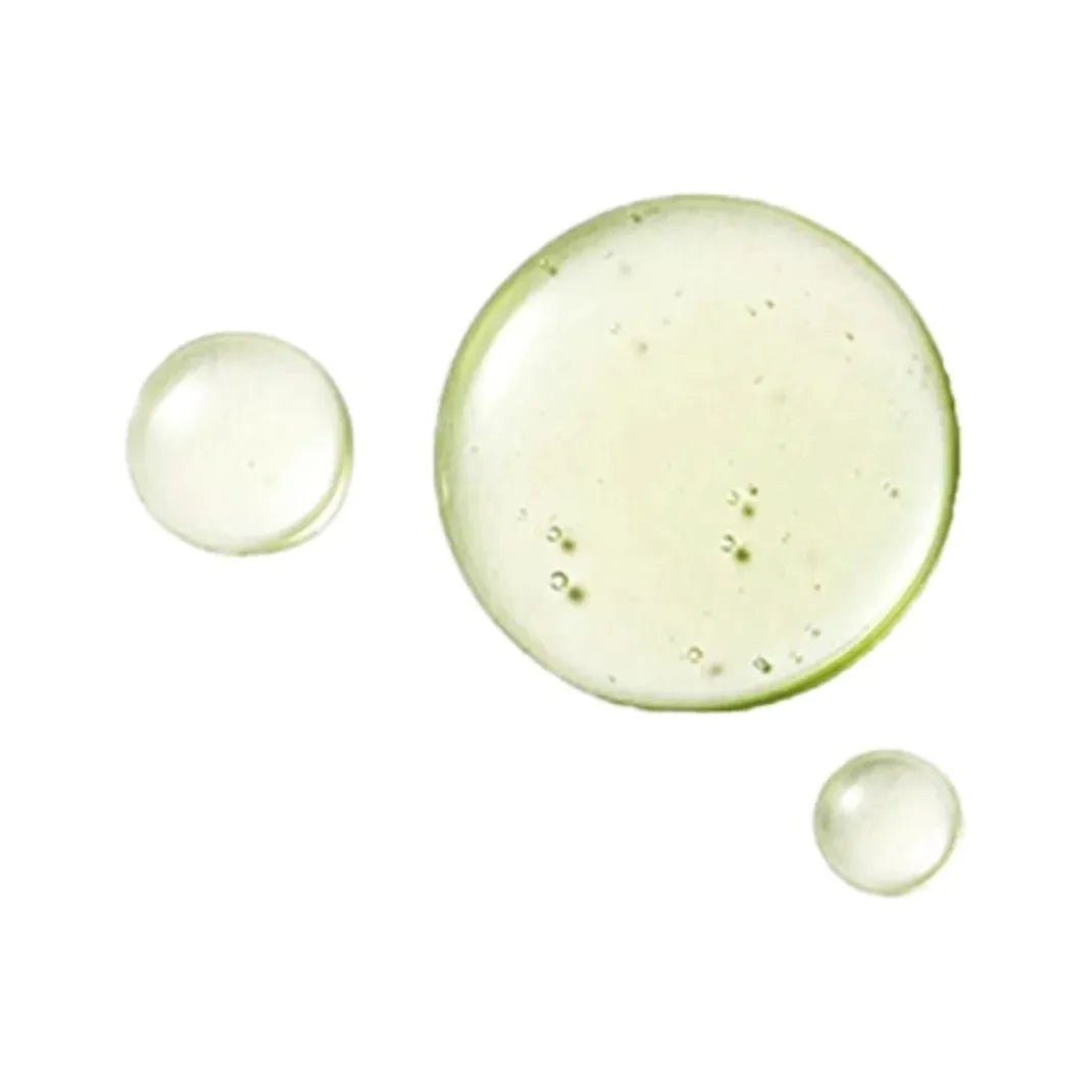 Beauty of Joseon CALMING SERUM : GREEN TEA + PANTHENOL 30ML - GATSU GATSU