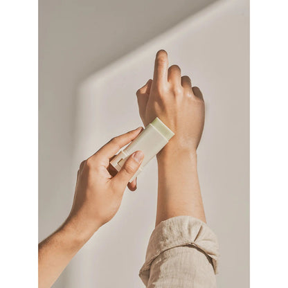 Beauty of Joseon Crème solaire Matte stick : armoise + camelia 18G - GATSU GATSU